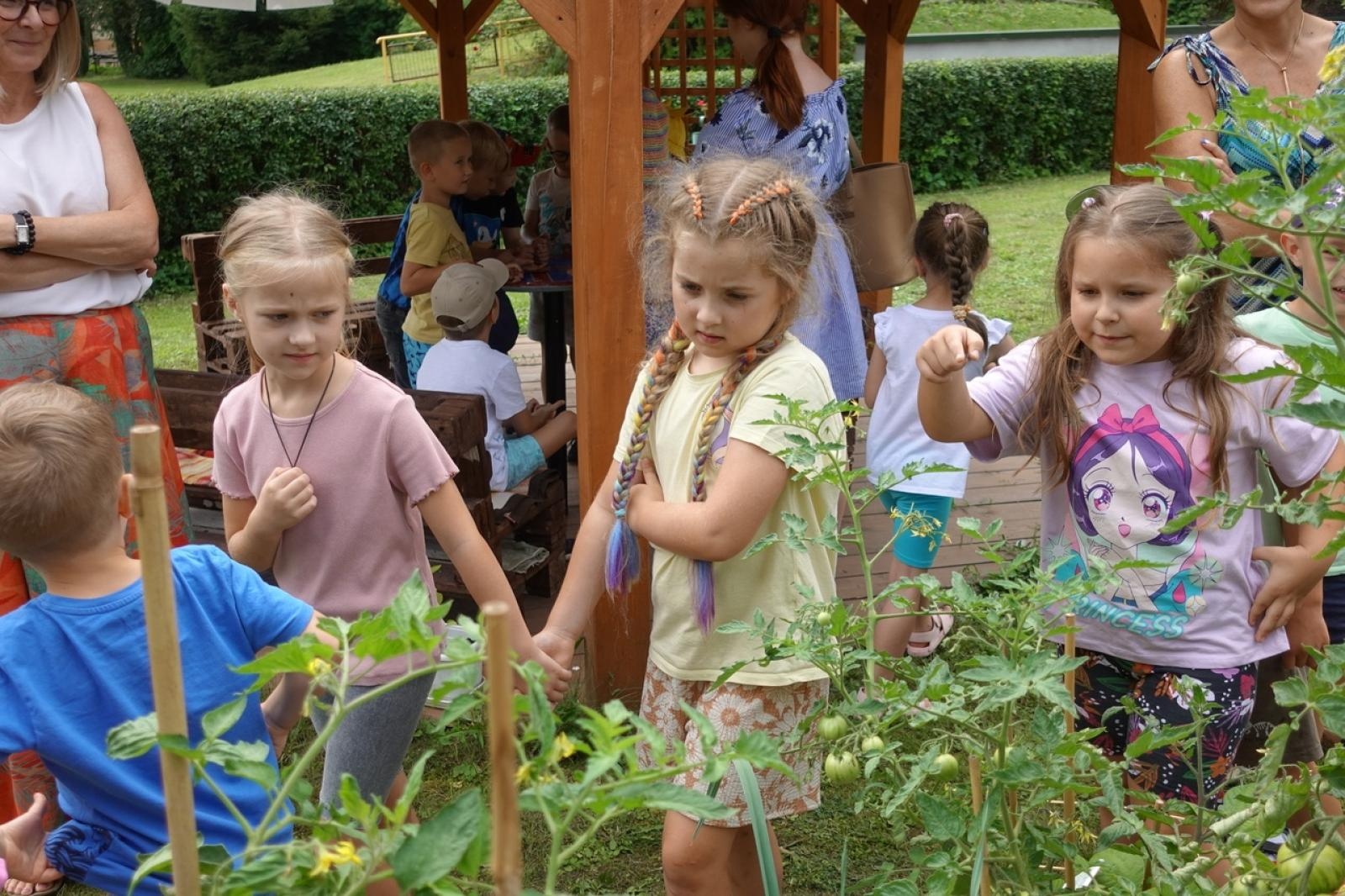 Zdjęcie w galerii na portalu naszraciborz.pl: Mali ogrodnicy dbają o swoje warzywniki i delektują się pierwszymi zbiorami wiadomości z regionu