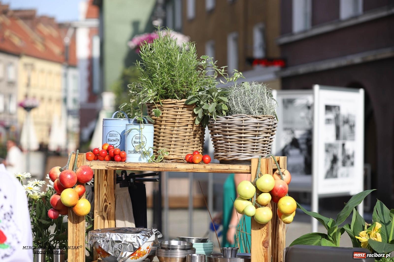 Zdjęcie w galerii na portalu naszraciborz.pl: Pytanie na Śniadanie TVP w Raciborzu. Na Rynku, na zamku, w grodzie i arboretum [FOTO] wiadomości z regionu