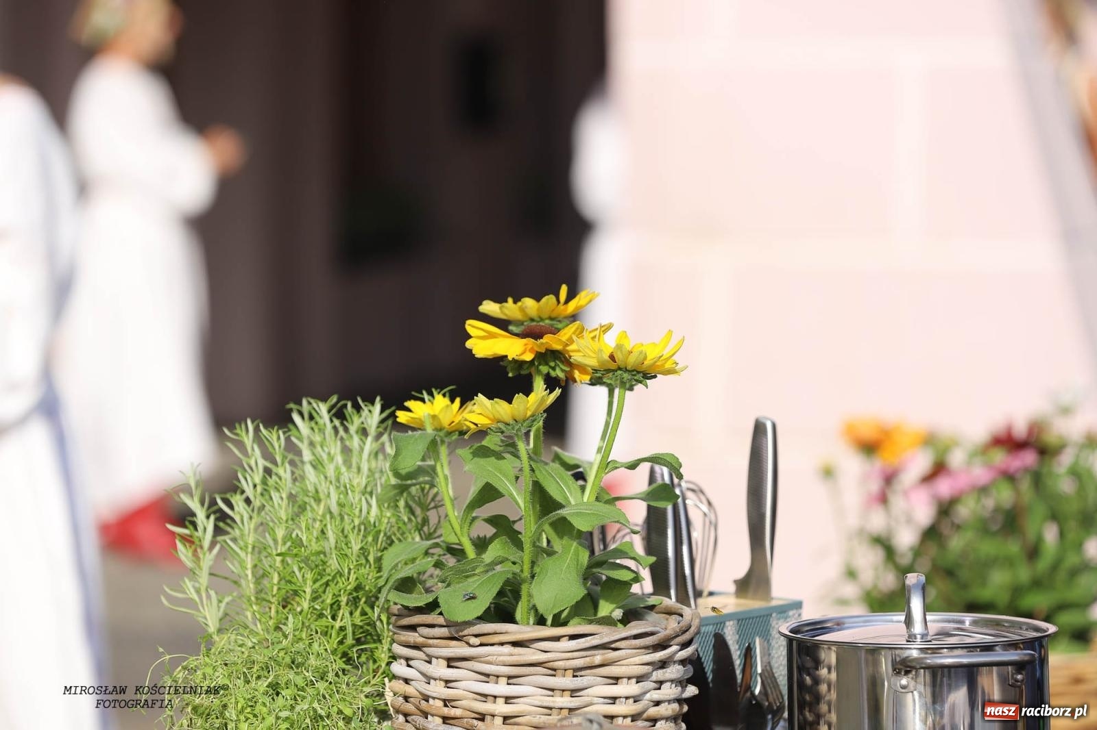 Zdjęcie w galerii na portalu naszraciborz.pl: Pytanie na Śniadanie TVP w Raciborzu. Na Rynku, na zamku, w grodzie i arboretum [FOTO] wiadomości z regionu