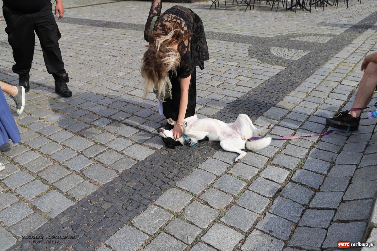 Zdjęcie w galerii na portalu naszraciborz.pl: Pytanie na Śniadanie TVP w Raciborzu. Na Rynku, na zamku, w grodzie i arboretum [FOTO] wiadomości z regionu