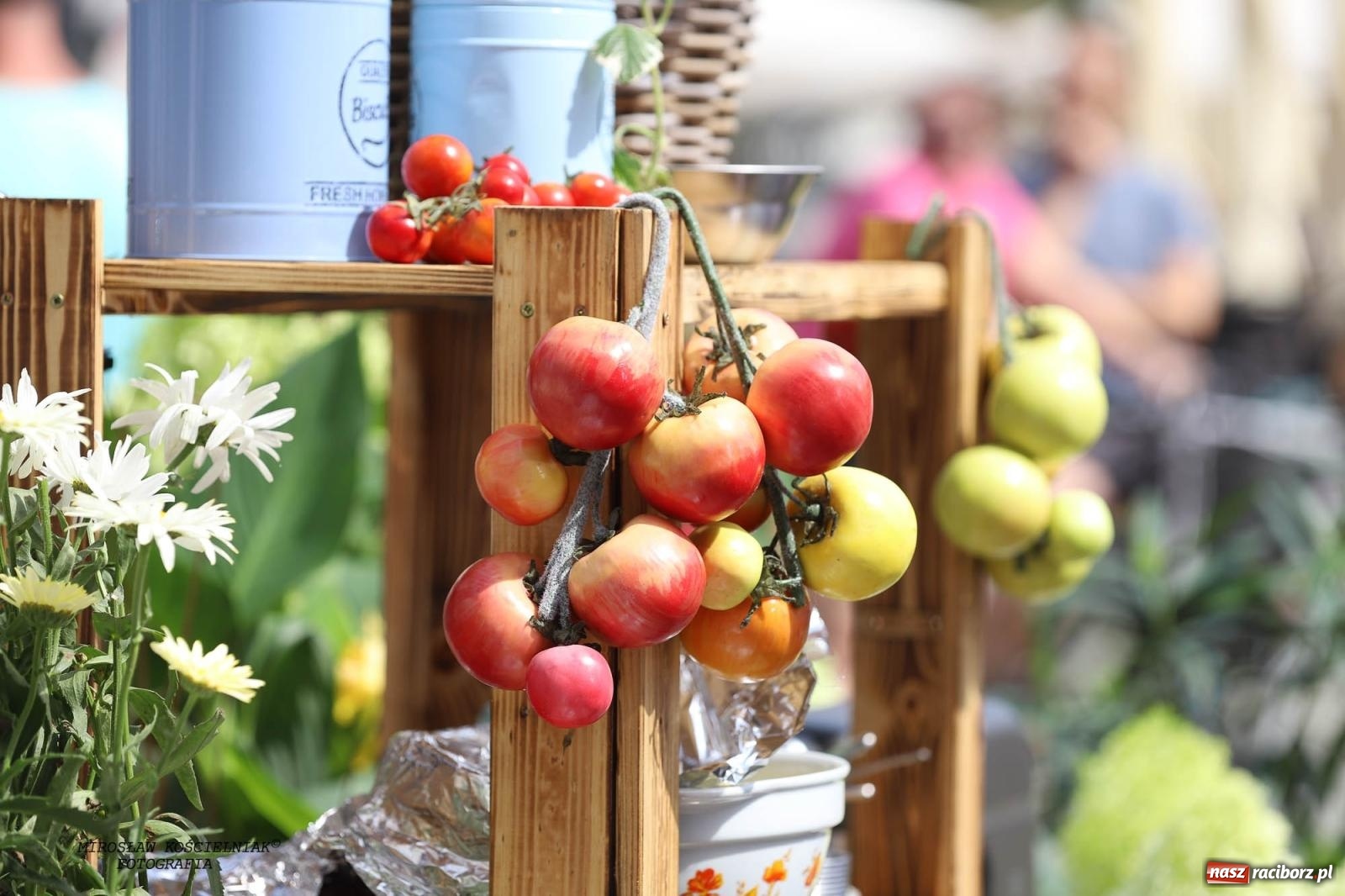 Zdjęcie w galerii na portalu naszraciborz.pl: Pytanie na Śniadanie TVP w Raciborzu. Na Rynku, na zamku, w grodzie i arboretum [FOTO] wiadomości z regionu