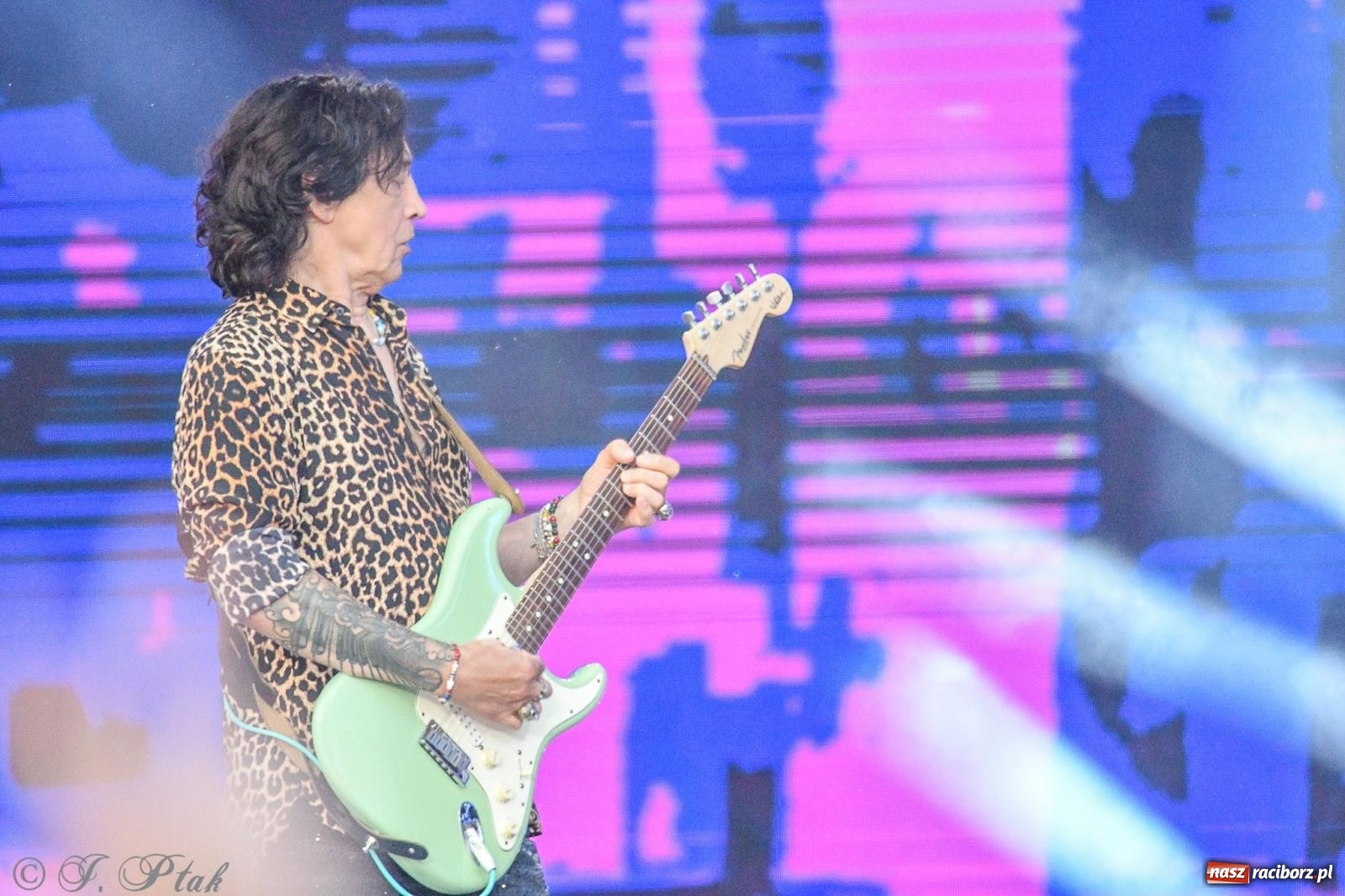 Zdjęcie w galerii na portalu naszraciborz.pl: Wielkie show Telewizji Polskiej w Raciborzu. Te gwiazdy rozgrzały publiczność wiadomości z regionu