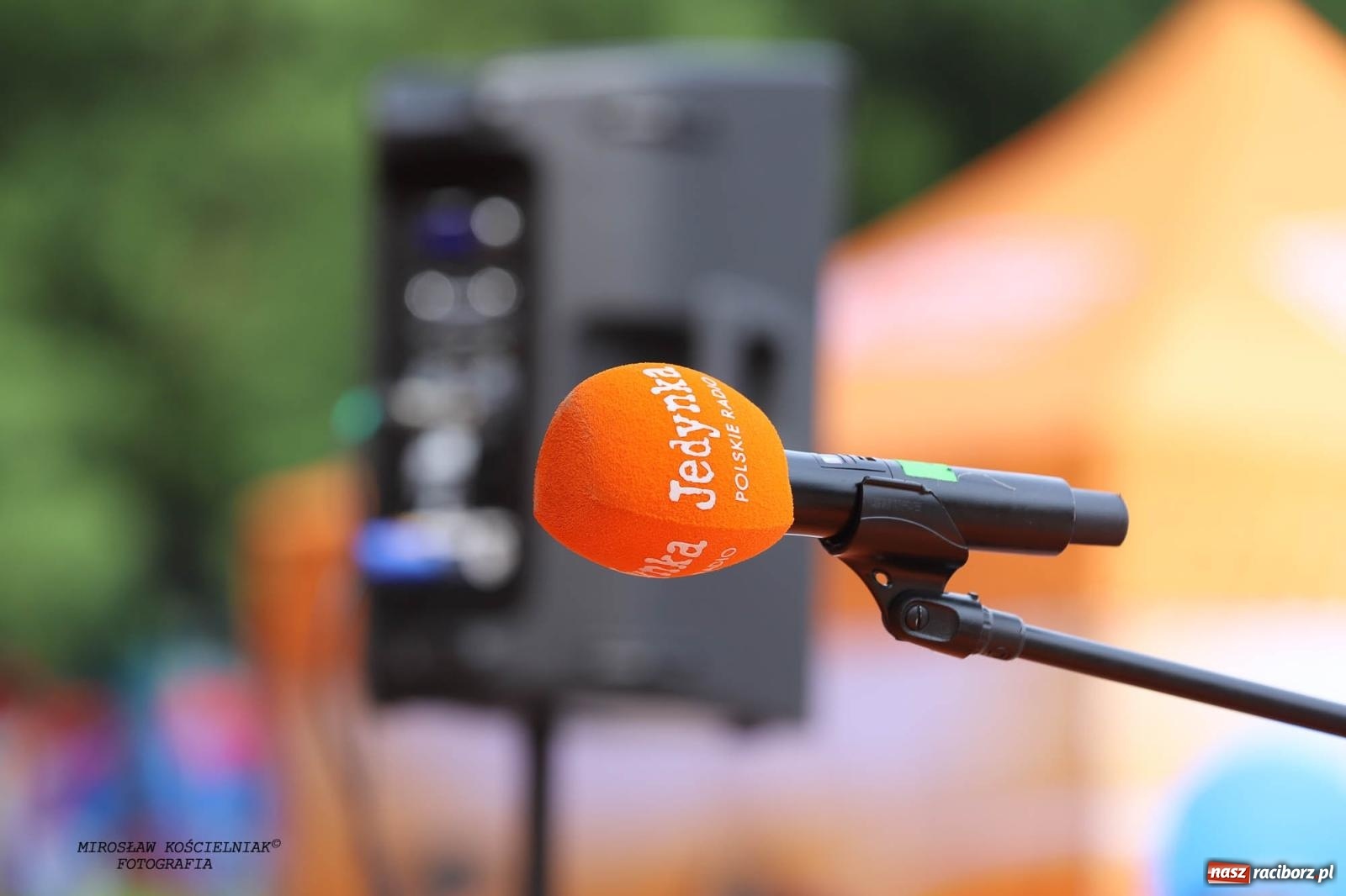 Zdjęcie w galerii na portalu naszraciborz.pl: Piknik Rodzinny Lato z Radiem w Parku im. Miasta Roth [FOTO] wiadomości z regionu