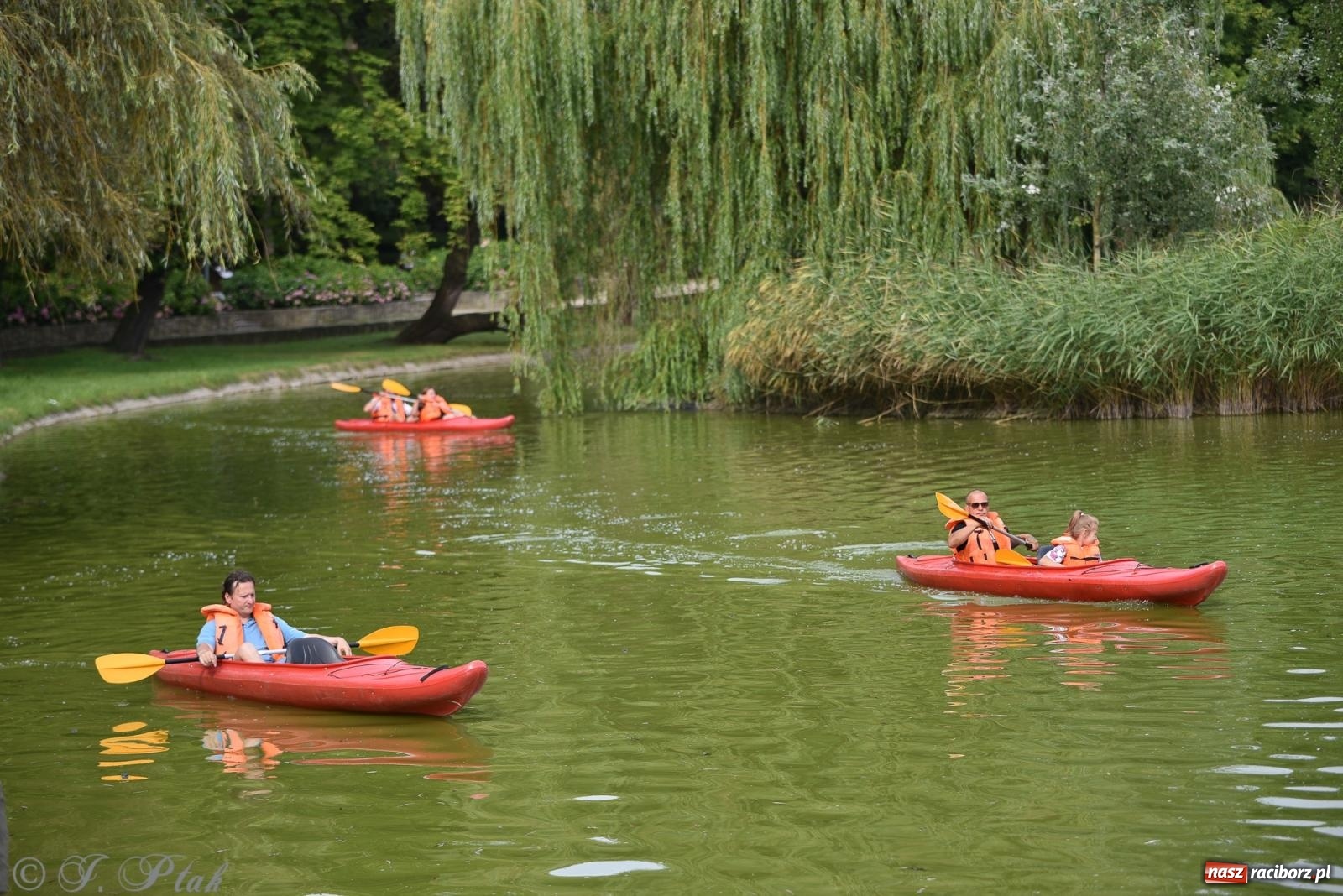 Zdjęcie w galerii na portalu naszraciborz.pl: Piknik Rodzinny Lato z Radiem w Parku im. Miasta Roth [FOTO] wiadomości z regionu