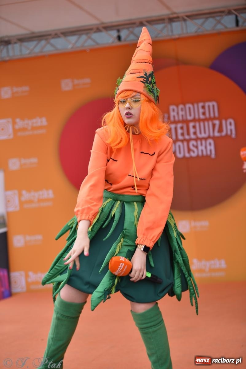 Zdjęcie w galerii na portalu naszraciborz.pl: Piknik Rodzinny Lato z Radiem w Parku im. Miasta Roth [FOTO] wiadomości z regionu