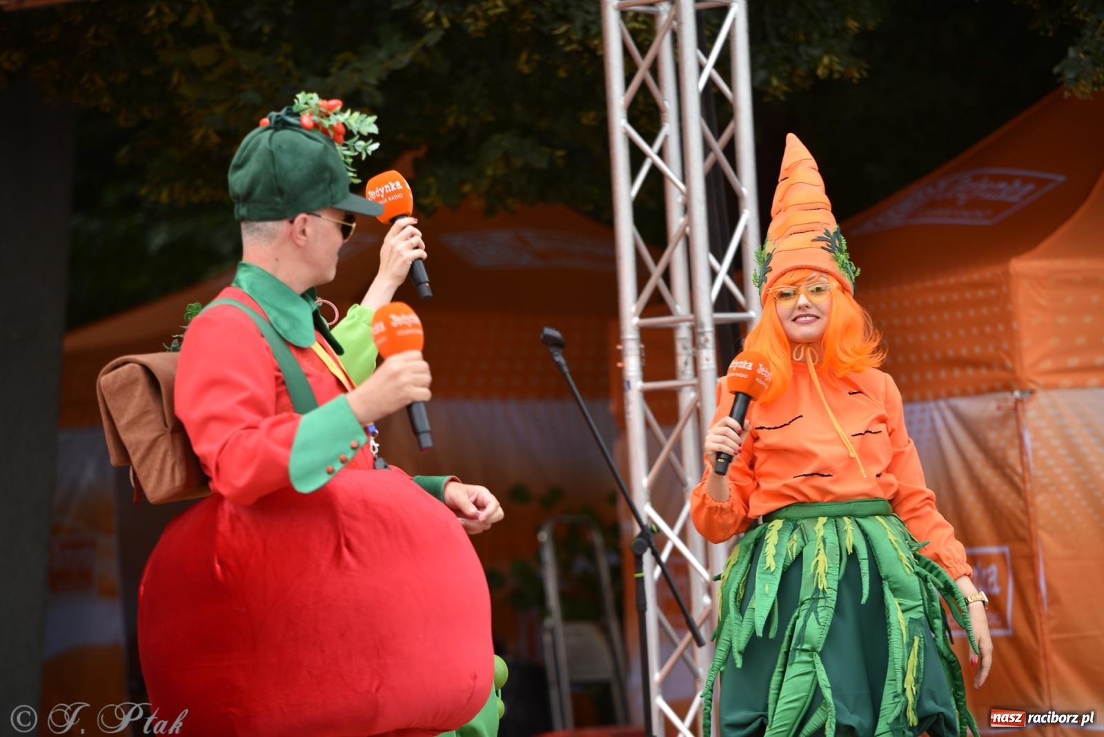 Zdjęcie w galerii na portalu naszraciborz.pl: Piknik Rodzinny Lato z Radiem w Parku im. Miasta Roth [FOTO] wiadomości z regionu