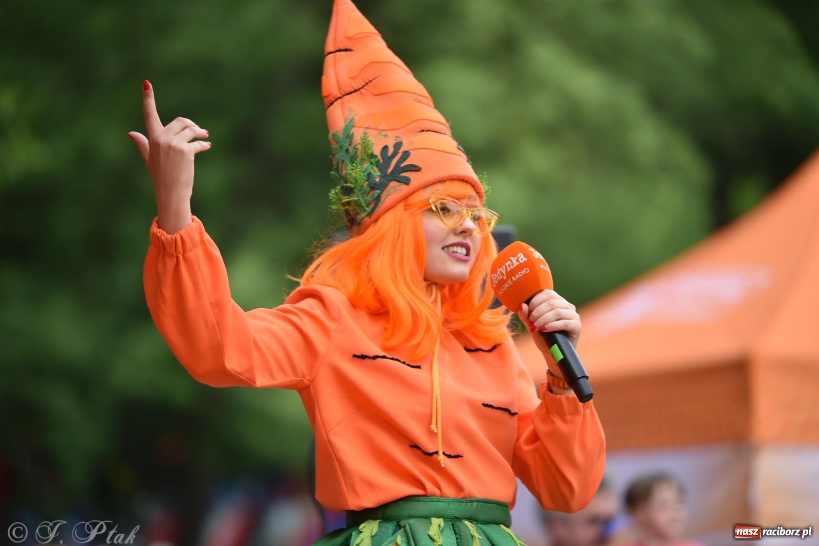 Zdjęcie w galerii na portalu naszraciborz.pl: Piknik Rodzinny Lato z Radiem w Parku im. Miasta Roth [FOTO] wiadomości z regionu