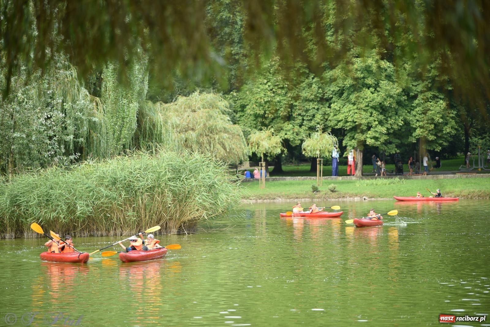 Zdjęcie w galerii na portalu naszraciborz.pl: Piknik Rodzinny Lato z Radiem w Parku im. Miasta Roth [FOTO] wiadomości z regionu