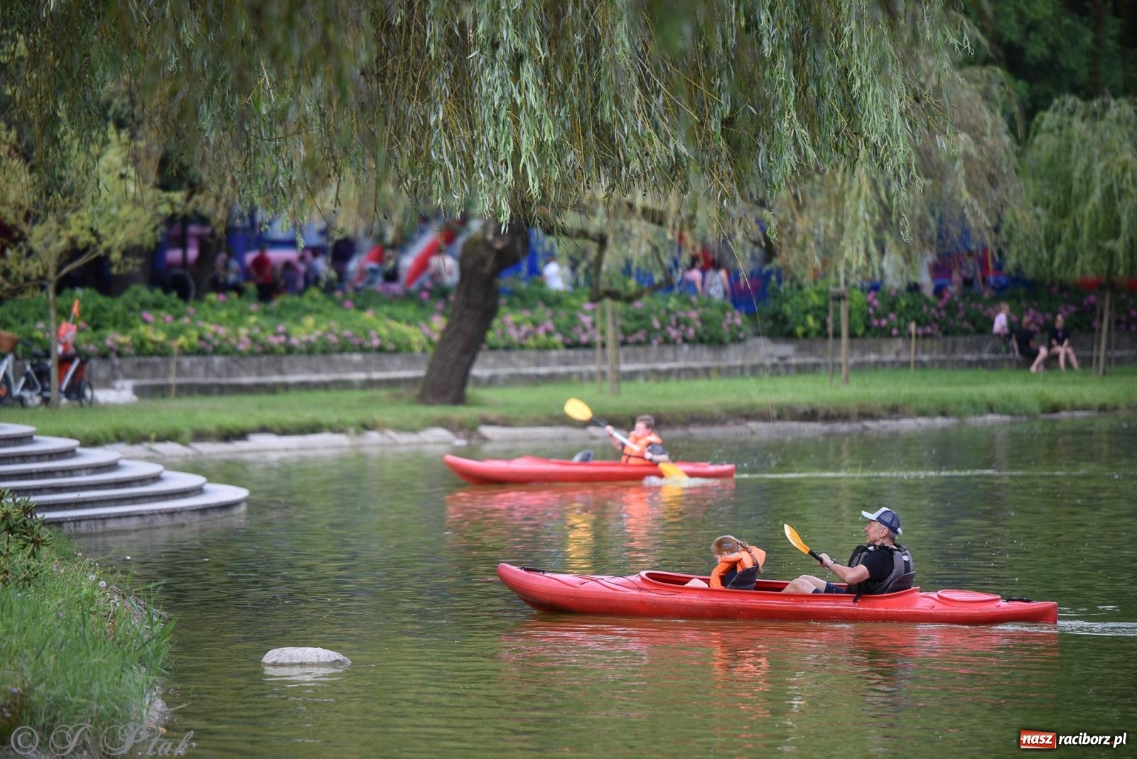 Zdjęcie w galerii na portalu naszraciborz.pl: Piknik Rodzinny Lato z Radiem w Parku im. Miasta Roth [FOTO] wiadomości z regionu