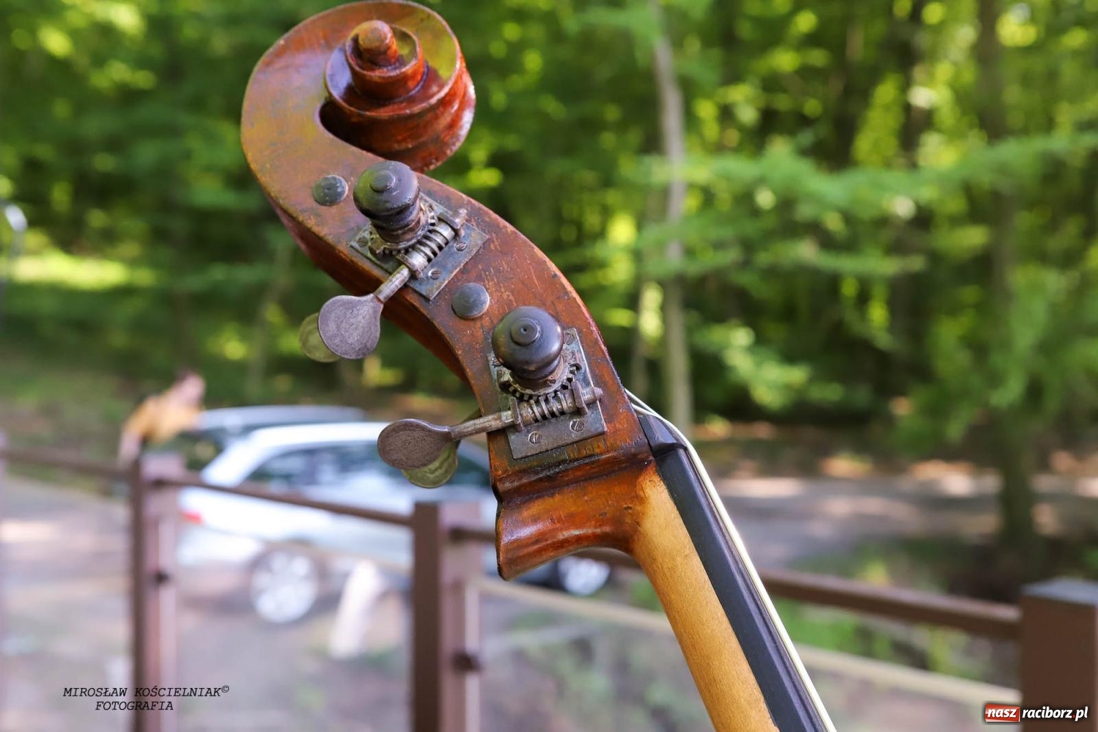 Zdjęcie w galerii na portalu naszraciborz.pl: Jazzowe klimaty w Zaczarowanym Ogrodzie wiadomości z regionu