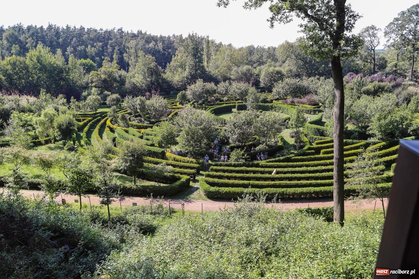 Zdjęcie w galerii na portalu naszraciborz.pl: Jazzowe klimaty w Zaczarowanym Ogrodzie wiadomości z regionu