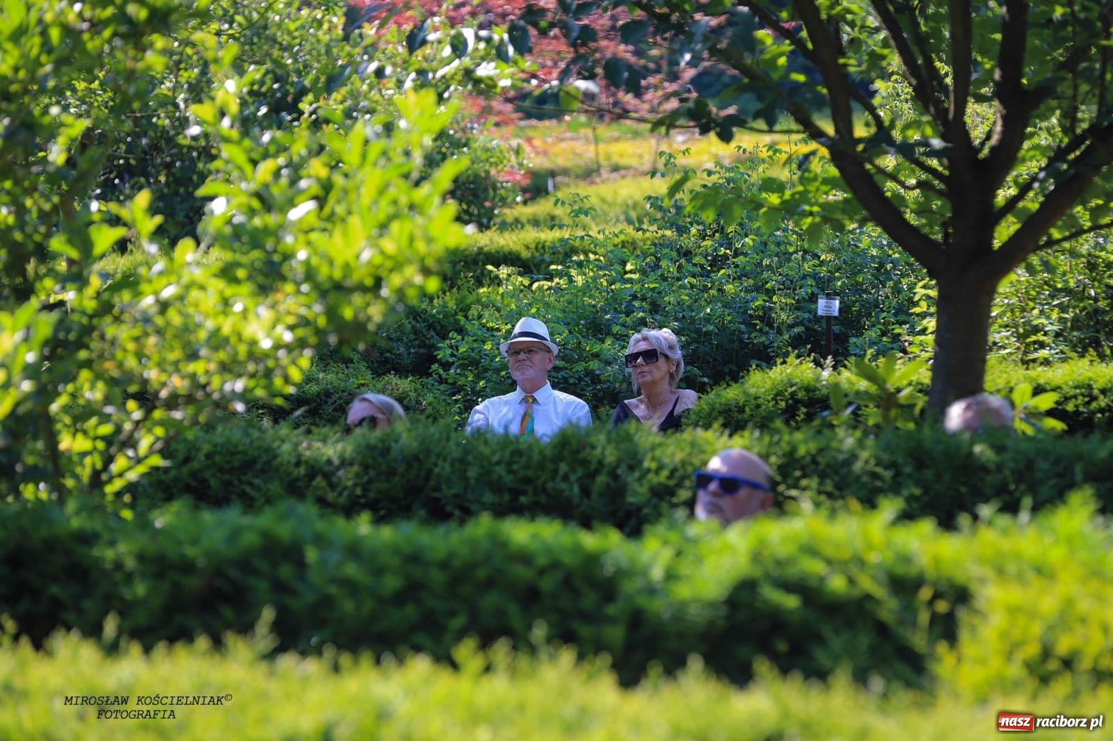 Zdjęcie w galerii na portalu naszraciborz.pl: Jazzowe klimaty w Zaczarowanym Ogrodzie wiadomości z regionu