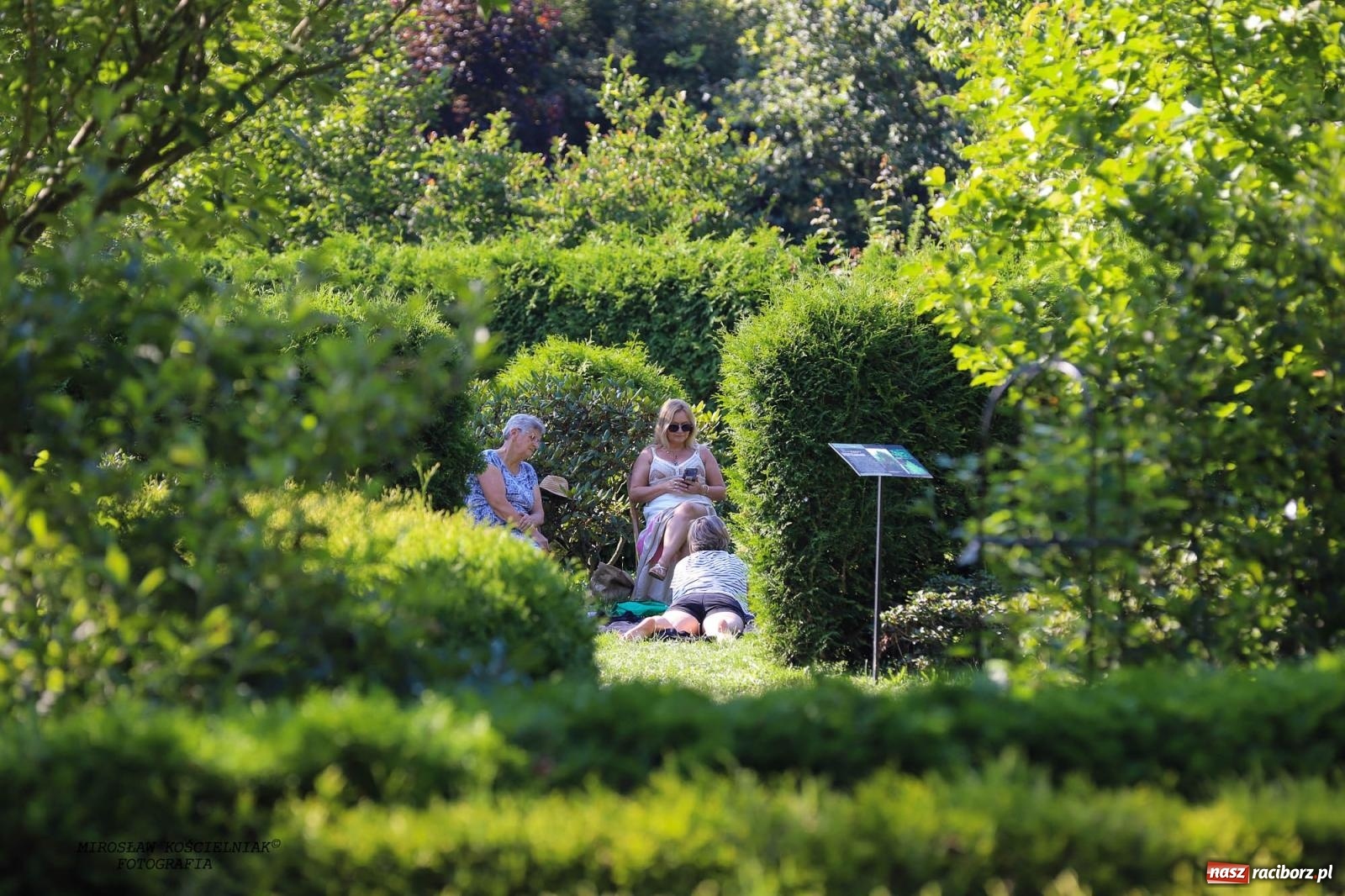 Zdjęcie w galerii na portalu naszraciborz.pl: Jazzowe klimaty w Zaczarowanym Ogrodzie wiadomości z regionu