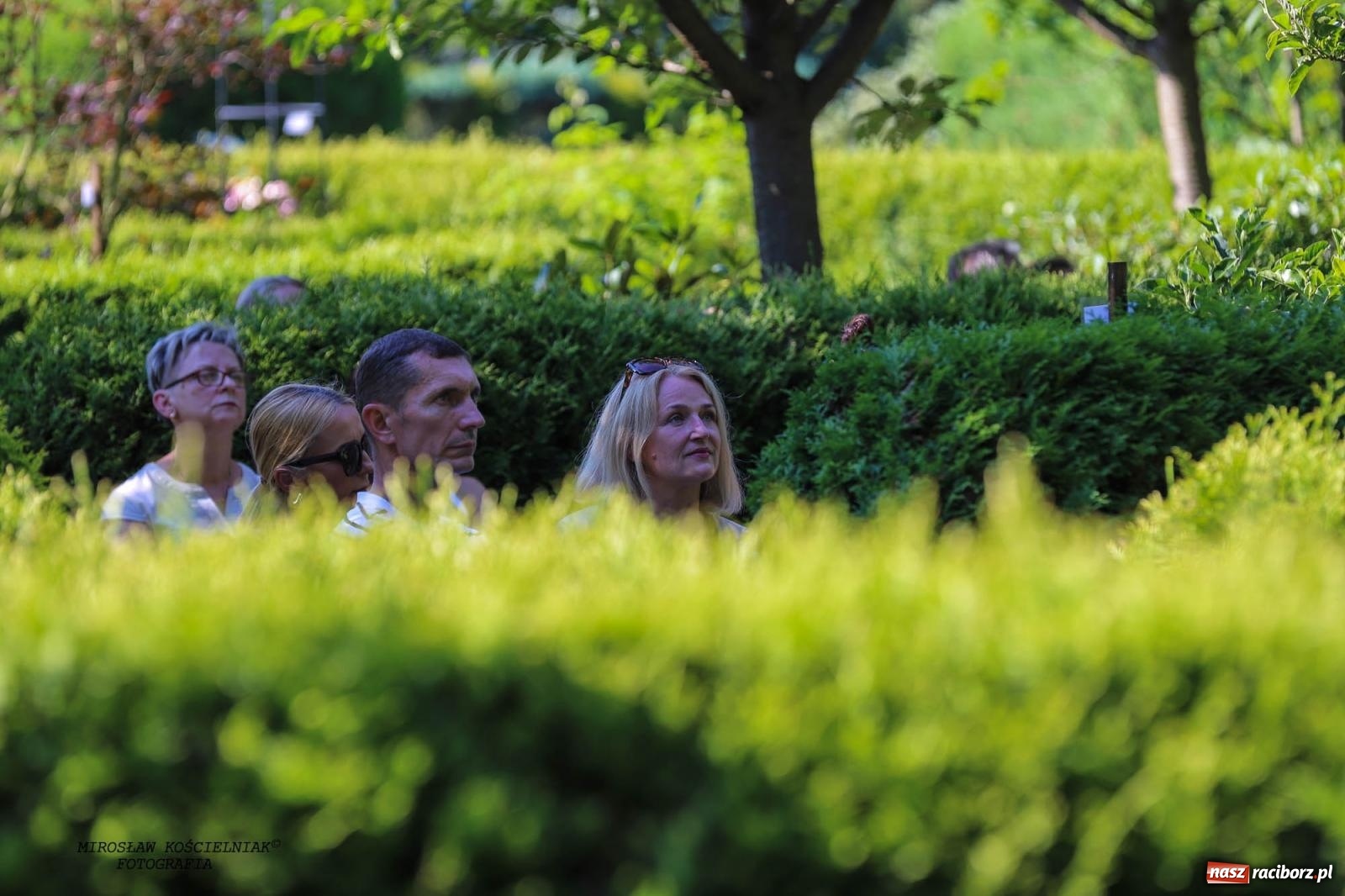 Zdjęcie w galerii na portalu naszraciborz.pl: Jazzowe klimaty w Zaczarowanym Ogrodzie wiadomości z regionu