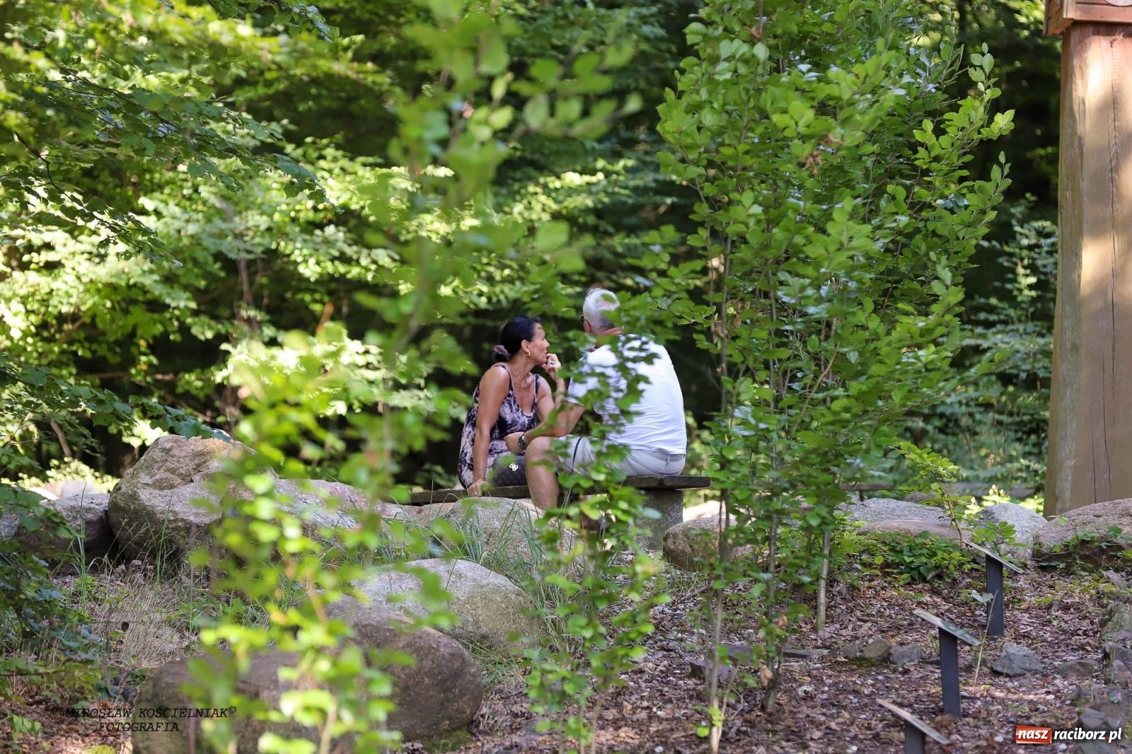 Zdjęcie w galerii na portalu naszraciborz.pl: Jazzowe klimaty w Zaczarowanym Ogrodzie wiadomości z regionu