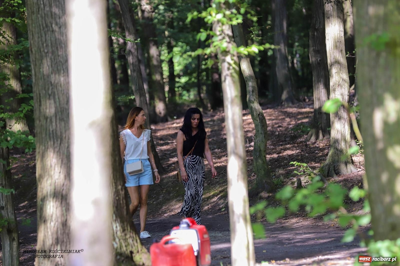 Zdjęcie w galerii na portalu naszraciborz.pl: Jazzowe klimaty w Zaczarowanym Ogrodzie wiadomości z regionu