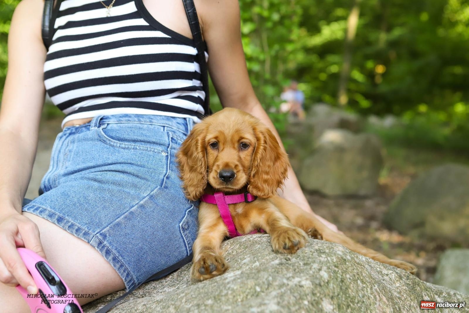 Zdjęcie w galerii na portalu naszraciborz.pl: Jazzowe klimaty w Zaczarowanym Ogrodzie wiadomości z regionu
