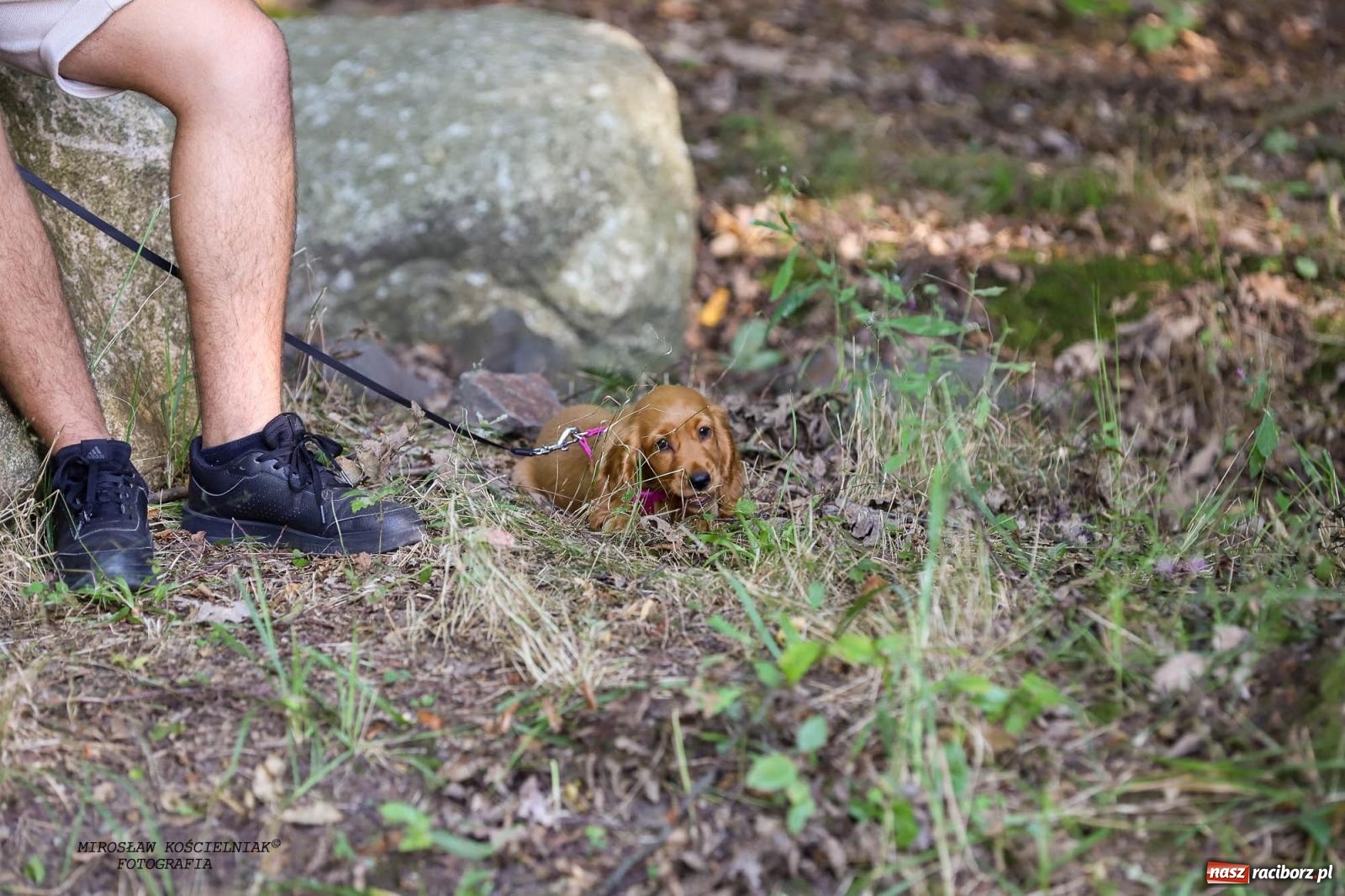 Zdjęcie w galerii na portalu naszraciborz.pl: Jazzowe klimaty w Zaczarowanym Ogrodzie wiadomości z regionu
