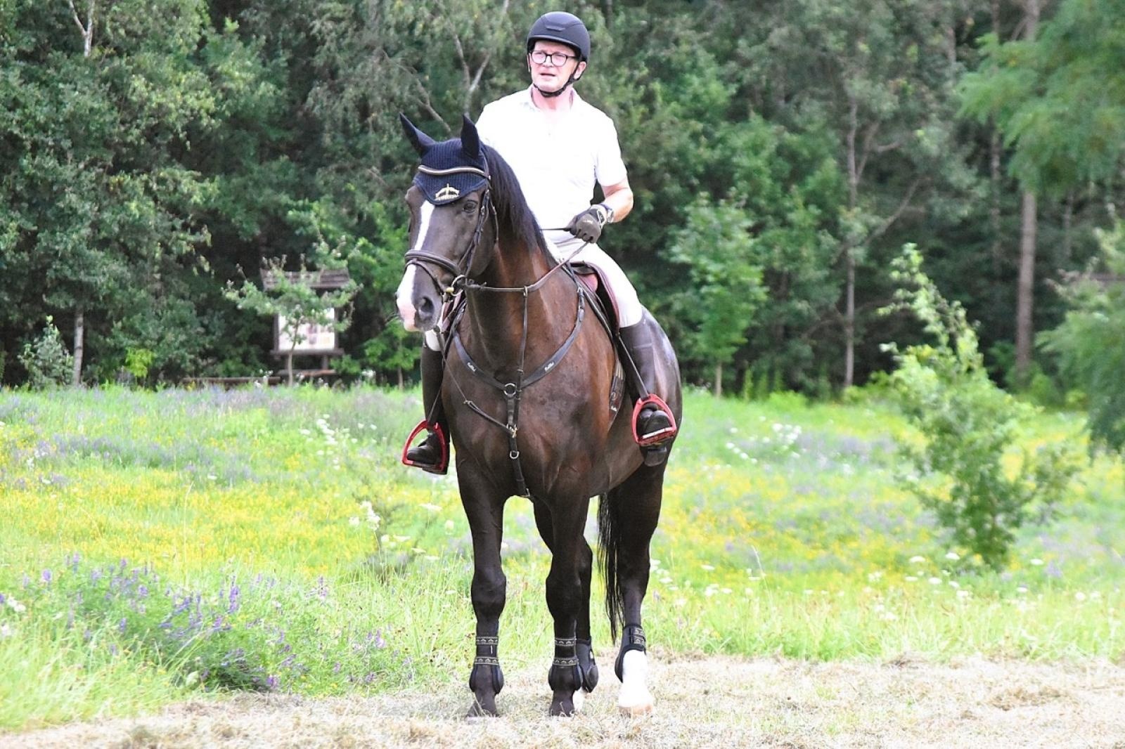 Zdjęcie w galerii na portalu naszraciborz.pl: Lorens G. z Bieńkowic zwycięzcą Pokazu Koni Wszystkich Ras w Krostoszowicach wiadomości z regionu
