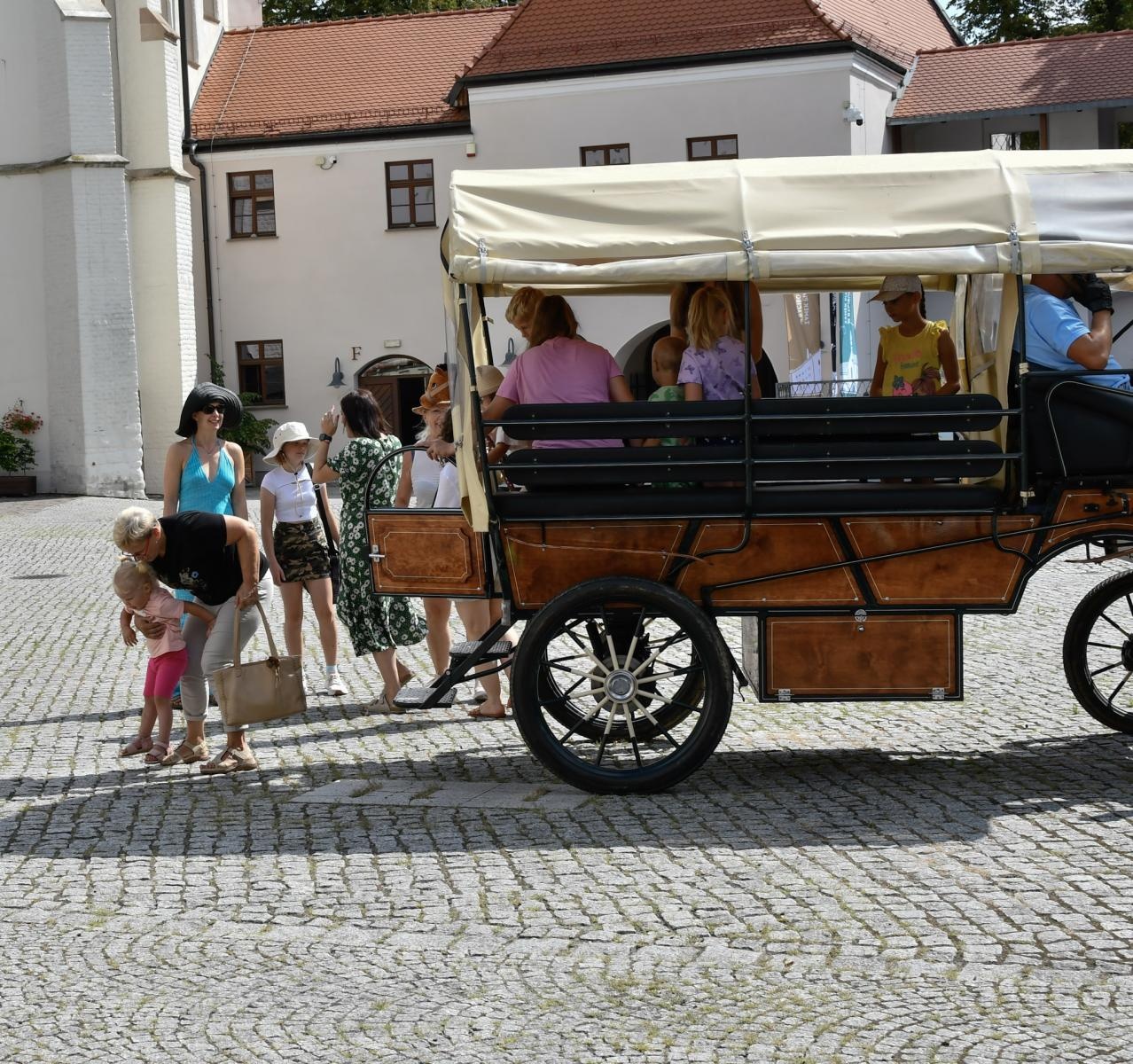 Zdjęcie w galerii na portalu naszraciborz.pl: Wakacje z siodłem na Zamku Piastowskim: konie, alpaki i uśmiechy wiadomości z regionu