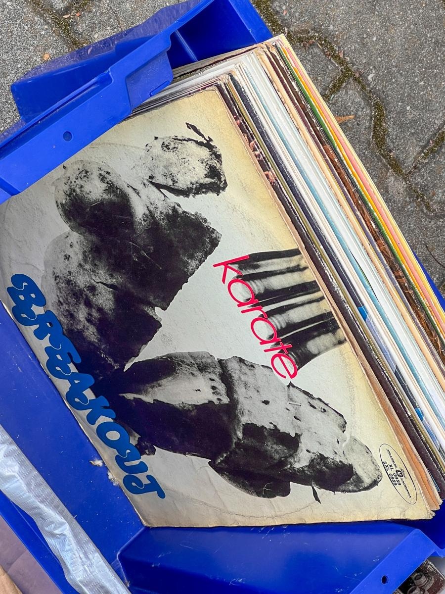 Zdjęcie w galerii na portalu naszraciborz.pl: Ciekawostki z targu staroci w Pietrowicach Wielkich wiadomości z regionu