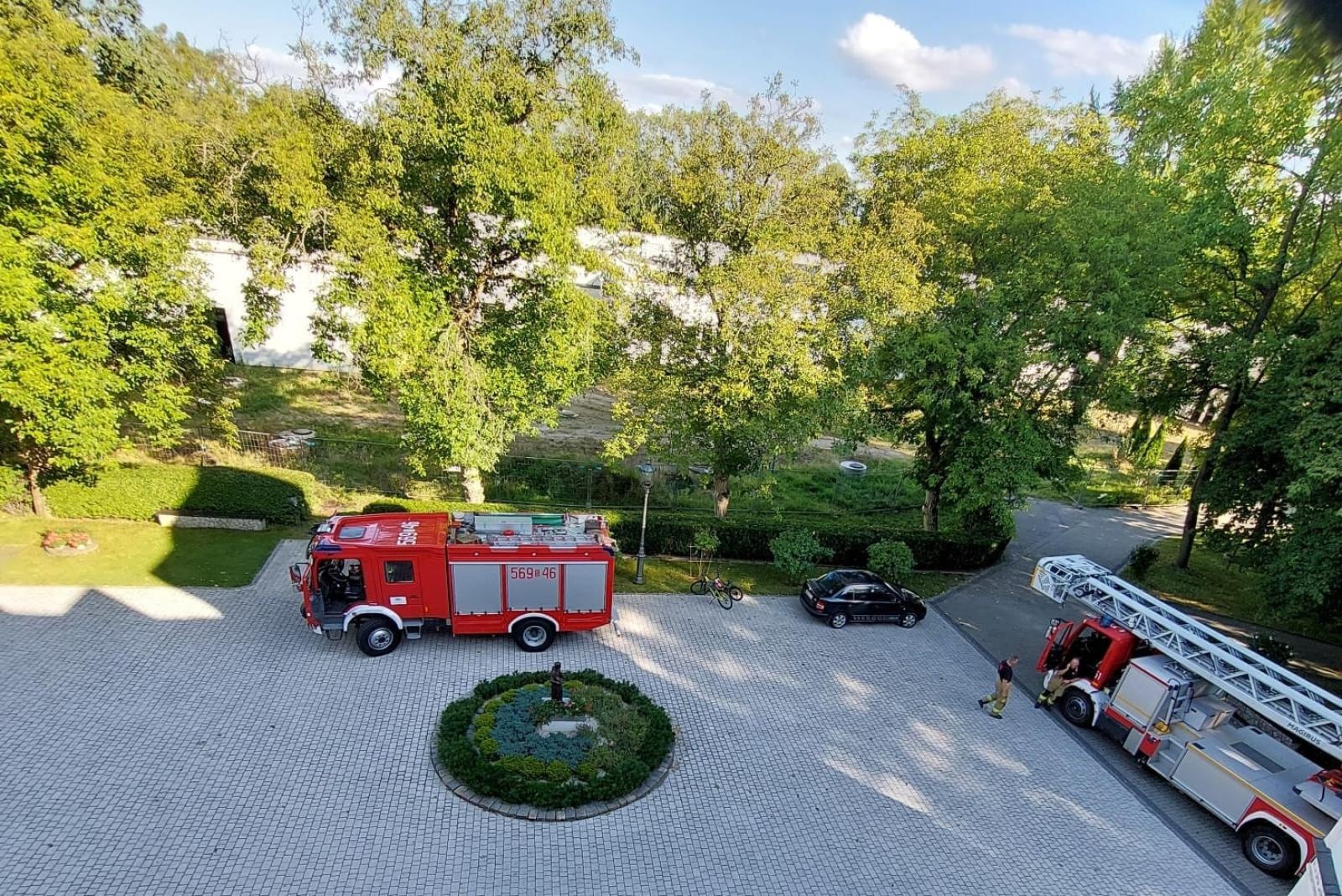 Zdjęcie w galerii na portalu naszraciborz.pl: Raport 998. Konary, owady, przewrócone ogrodzenie. Niedziela strażaków [FOTO] wiadomości z regionu