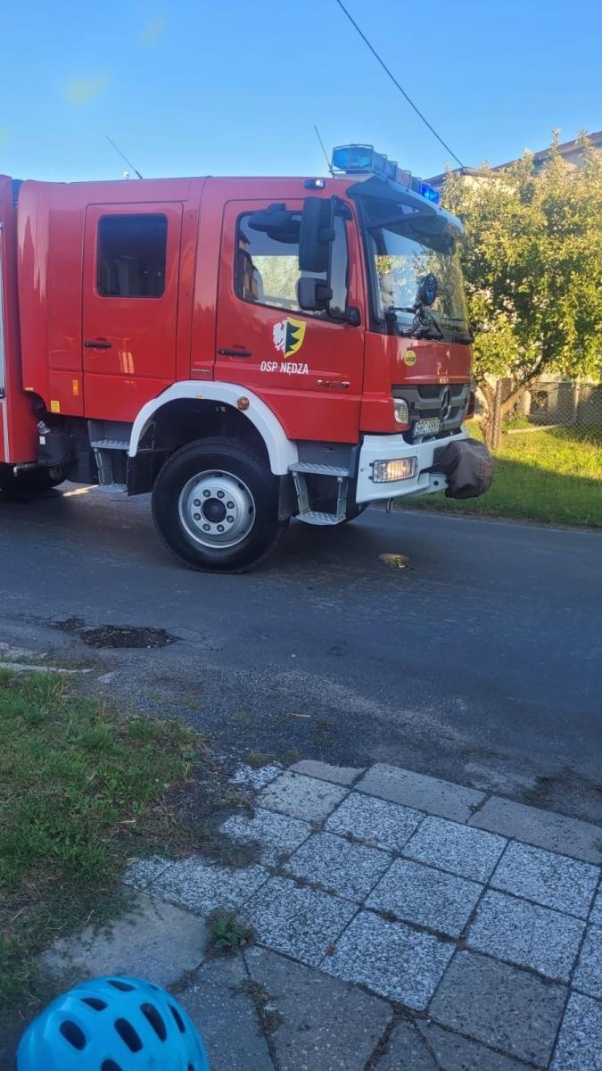 Zdjęcie w galerii na portalu naszraciborz.pl: Raport 998. Konary, owady, przewrócone ogrodzenie. Niedziela strażaków [FOTO] wiadomości z regionu