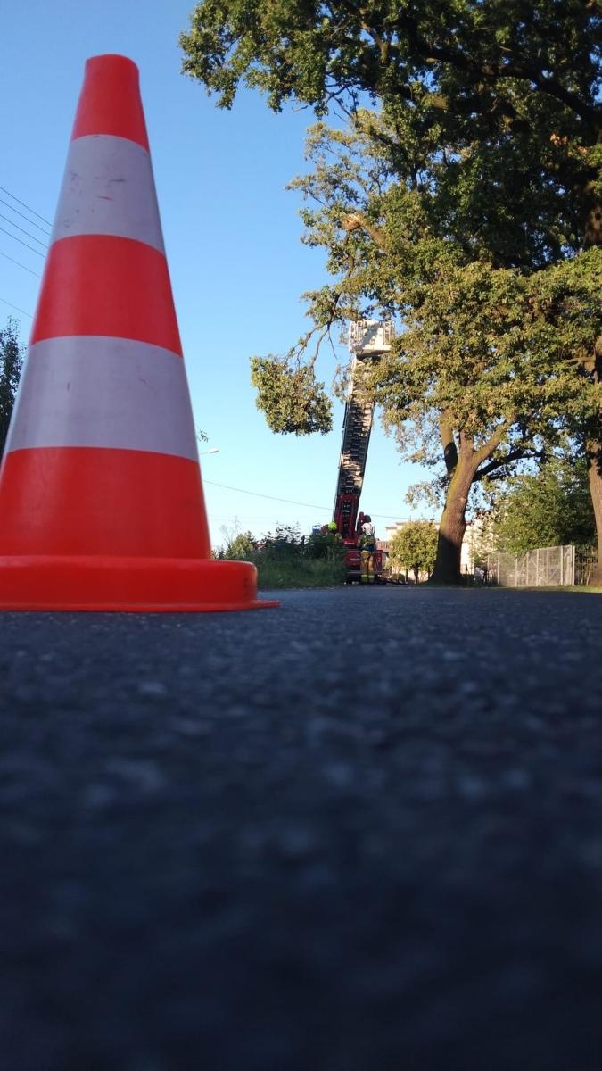 Zdjęcie w galerii na portalu naszraciborz.pl: Raport 998. Konary, owady, przewrócone ogrodzenie. Niedziela strażaków [FOTO] wiadomości z regionu