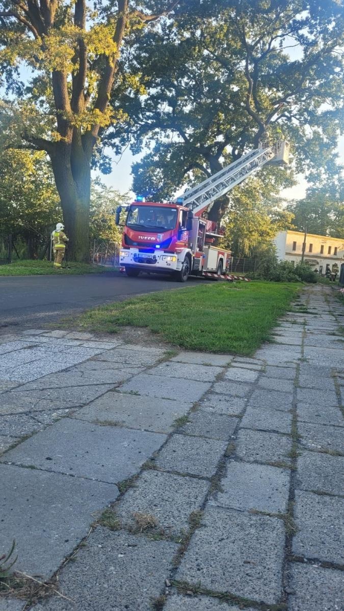 Zdjęcie w galerii na portalu naszraciborz.pl: Raport 998. Konary, owady, przewrócone ogrodzenie. Niedziela strażaków [FOTO] wiadomości z regionu