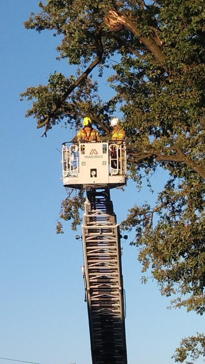 Zdjęcie w galerii na portalu naszraciborz.pl: Raport 998. Konary, owady, przewrócone ogrodzenie. Niedziela strażaków [FOTO] wiadomości z regionu