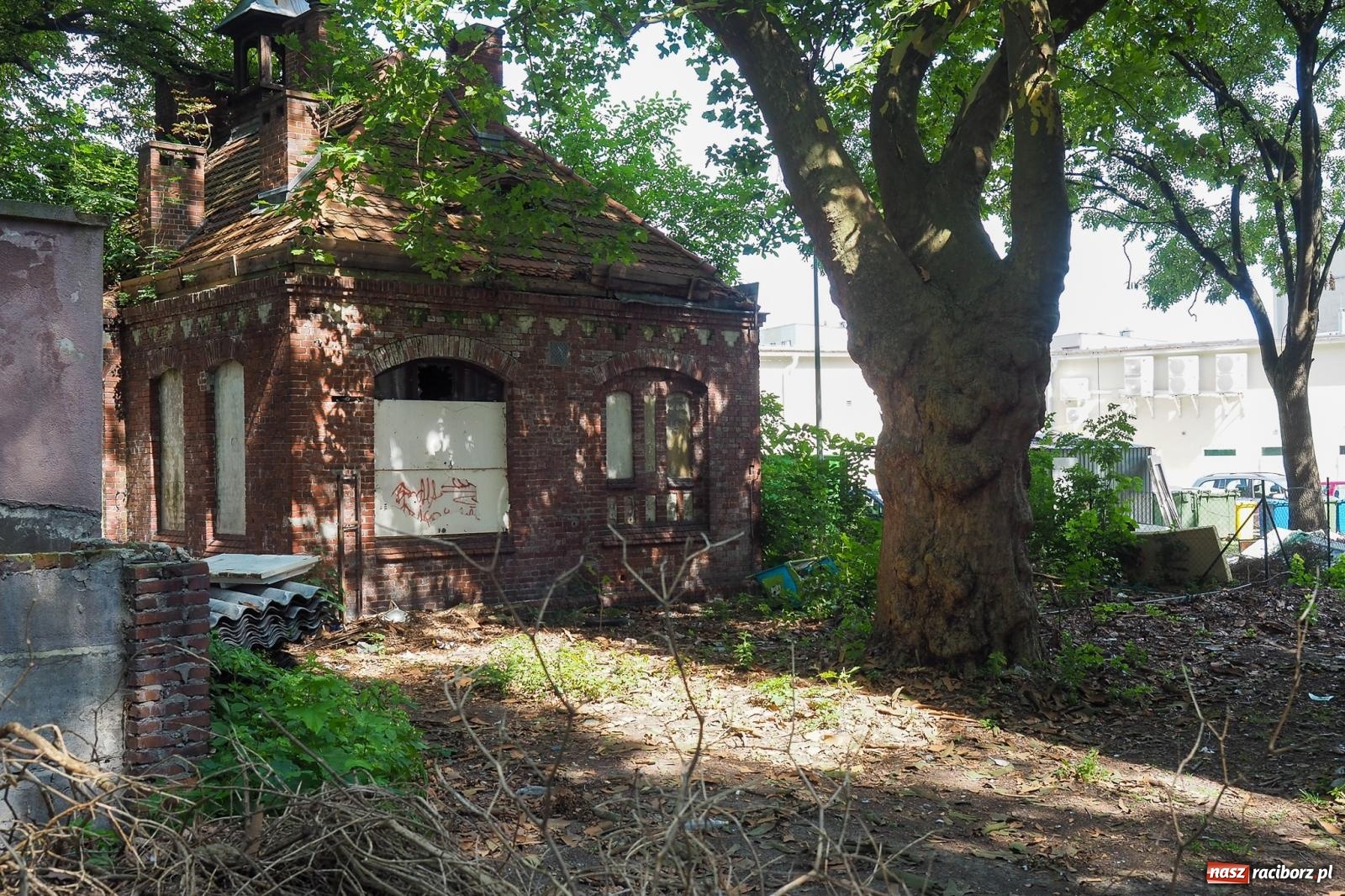 Zdjęcie w galerii na portalu naszraciborz.pl: Wyburzają i budują. Nowe inwestycje w Raciborzu [FOTO] wiadomości z regionu