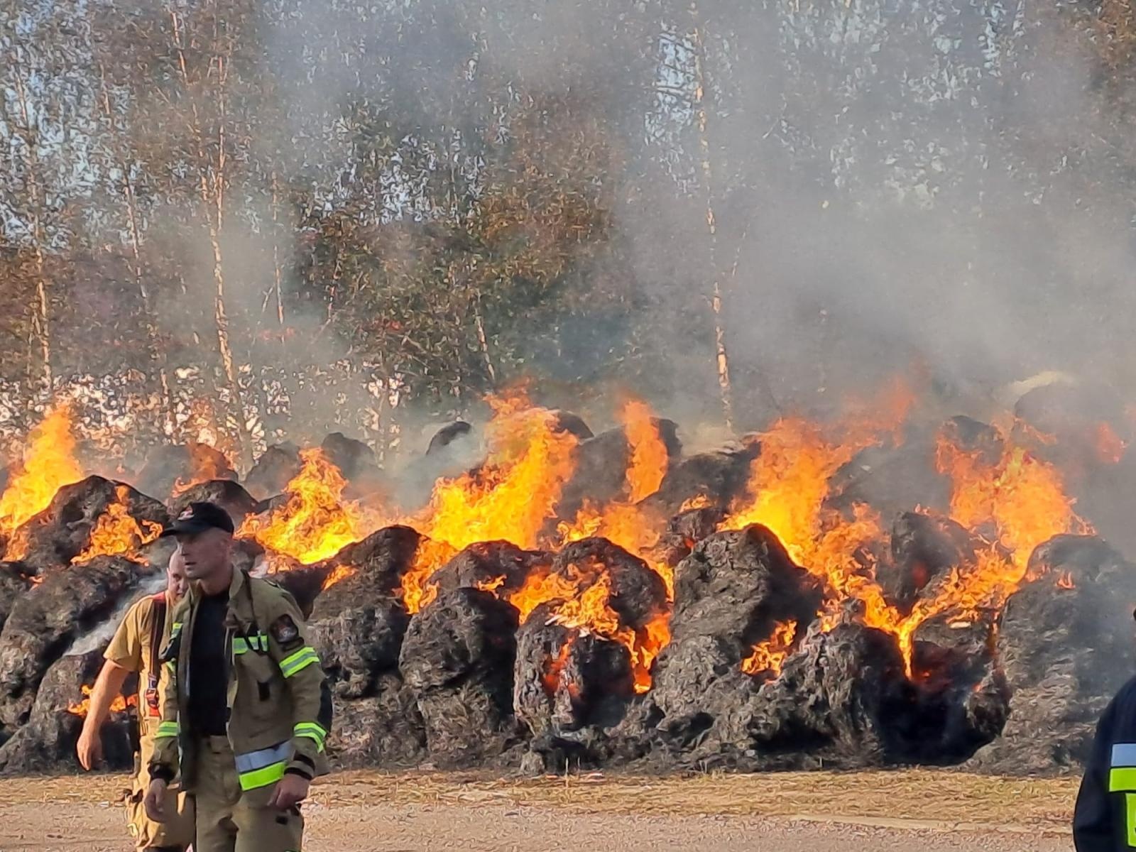 Zdjęcie w galerii na portalu naszraciborz.pl: Ogromny pożar przy Dworcowej w Krzyżanowicach [FOTO i WIDEO] wiadomości z regionu