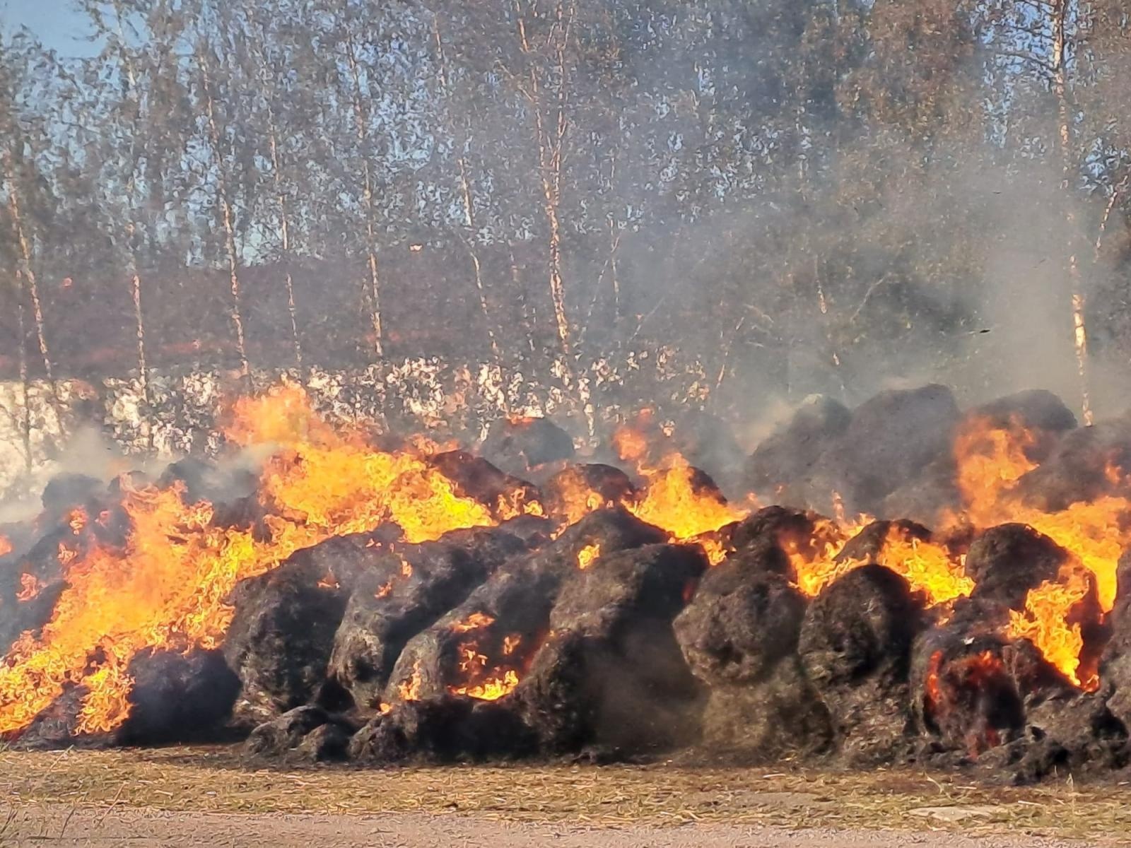 Zdjęcie w galerii na portalu naszraciborz.pl: Ogromny pożar przy Dworcowej w Krzyżanowicach [FOTO i WIDEO] wiadomości z regionu