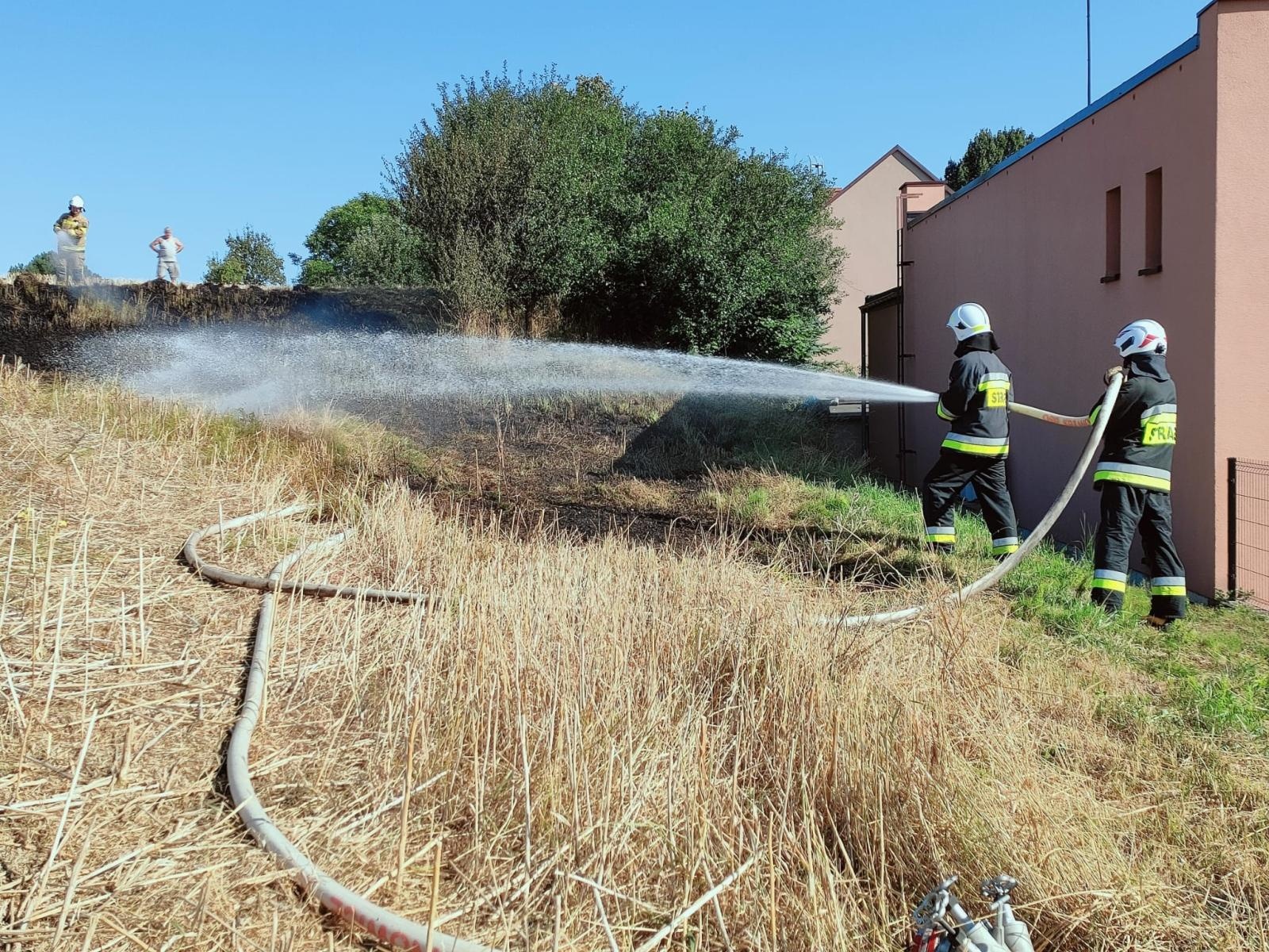Zdjęcie w galerii na portalu naszraciborz.pl: Pożar ścierniska w Krzanowicach [FOTO] wiadomości z regionu