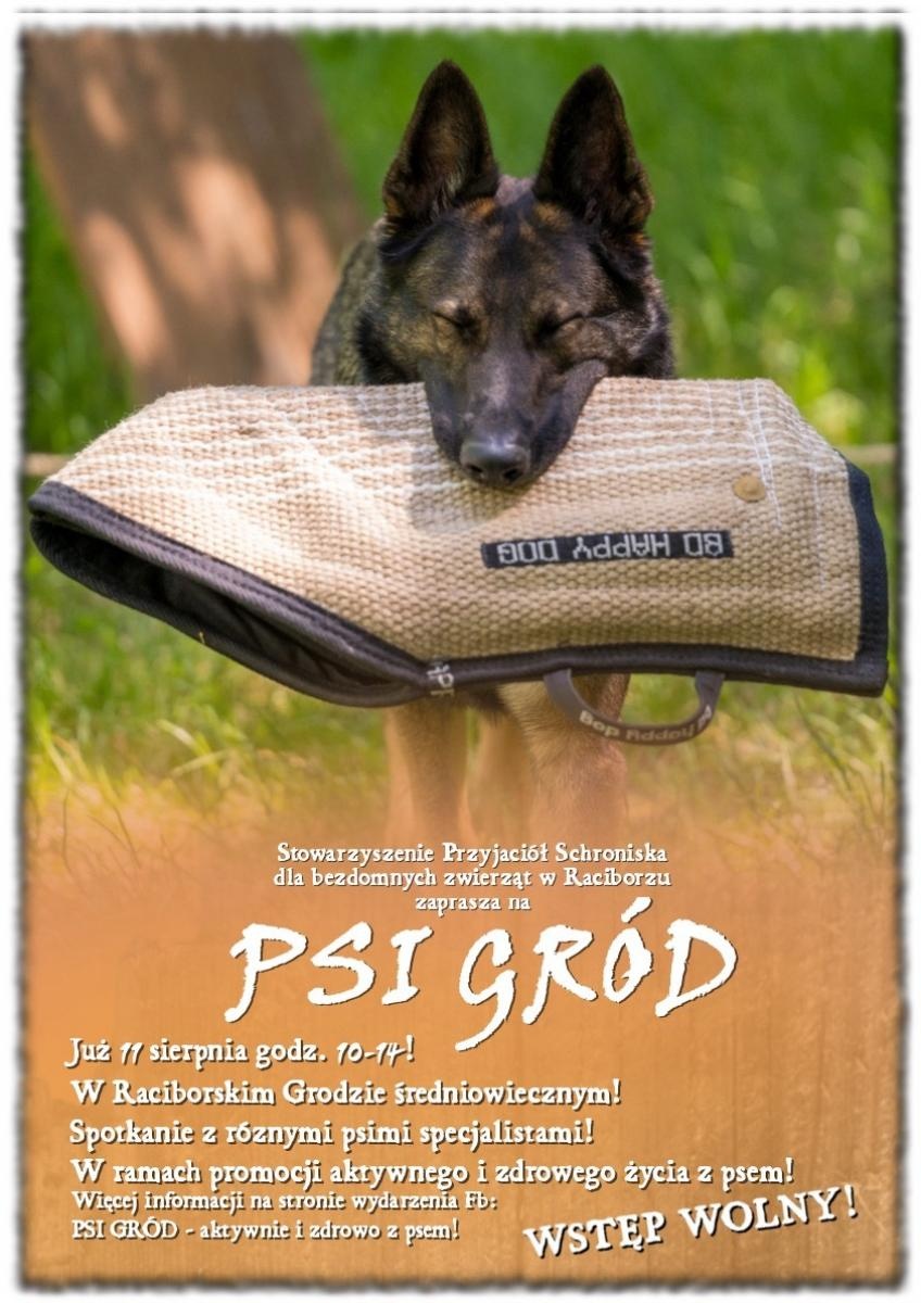 Zdjęcie w galerii na portalu naszraciborz.pl: Zaproszenie na PSI GRÓD - Aktywnie i zdrowo z psem! wiadomości z regionu