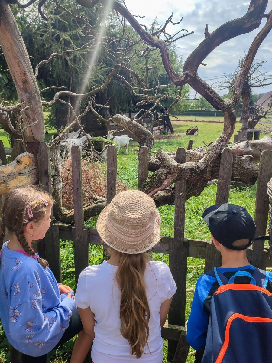 Zdjęcie w galerii na portalu naszraciborz.pl: Chlebowa Chata na zakończenie pierwszego miesiąca wakacji z RCK wiadomości z regionu