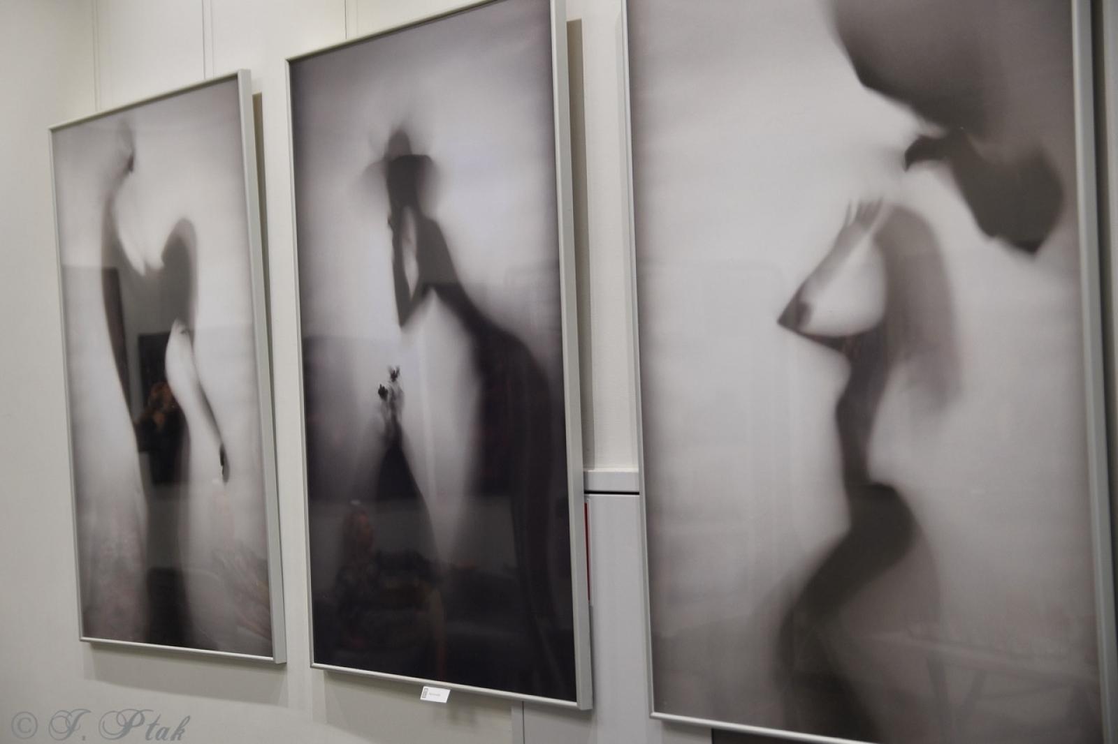 Zdjęcie w galerii na portalu naszraciborz.pl: Dyplomy 2024: fotografia artystyczna. Nowa wystawa w raciborskiej bibliotece wiadomości z regionu