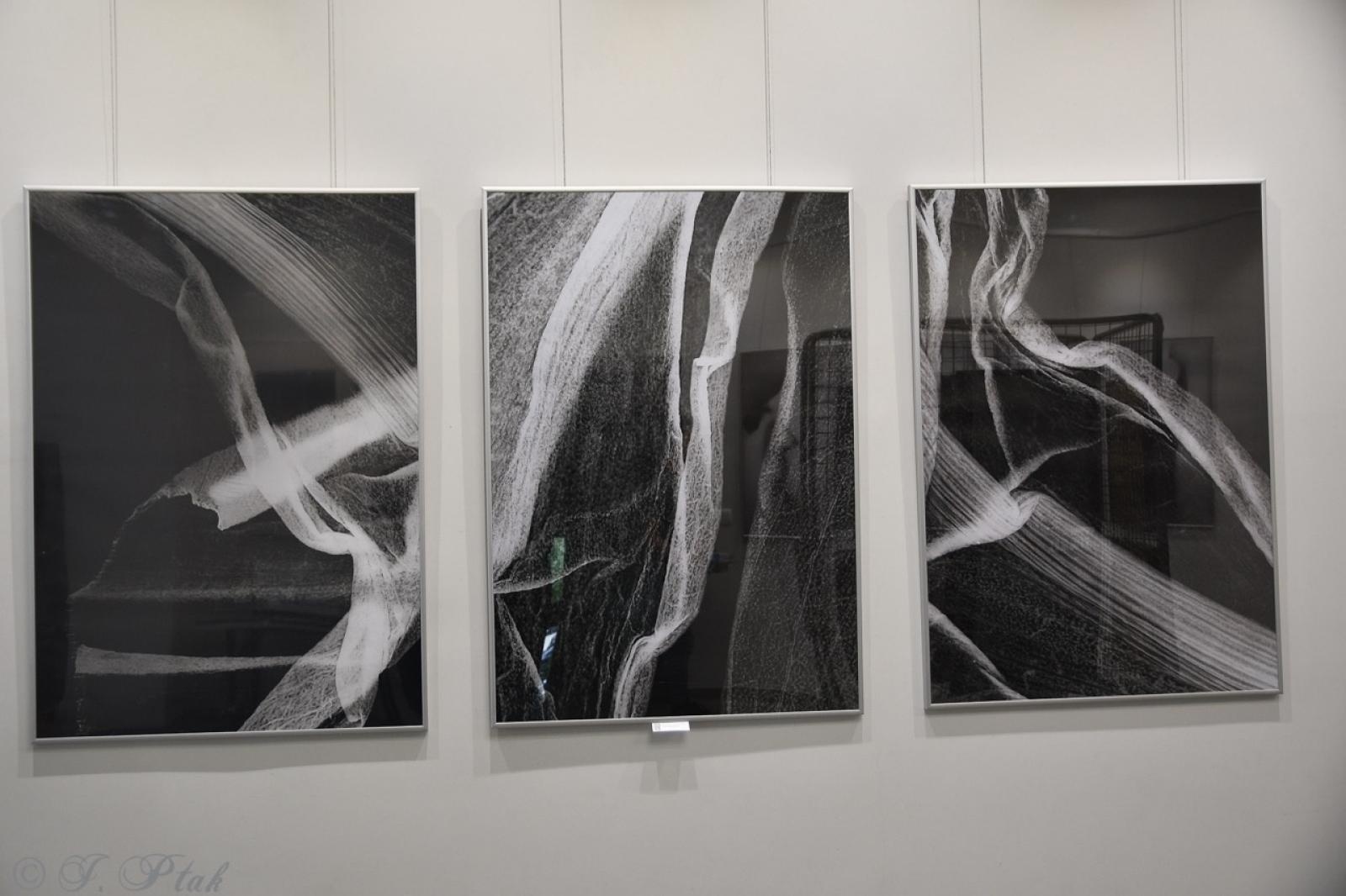 Zdjęcie w galerii na portalu naszraciborz.pl: Dyplomy 2024: fotografia artystyczna. Nowa wystawa w raciborskiej bibliotece wiadomości z regionu