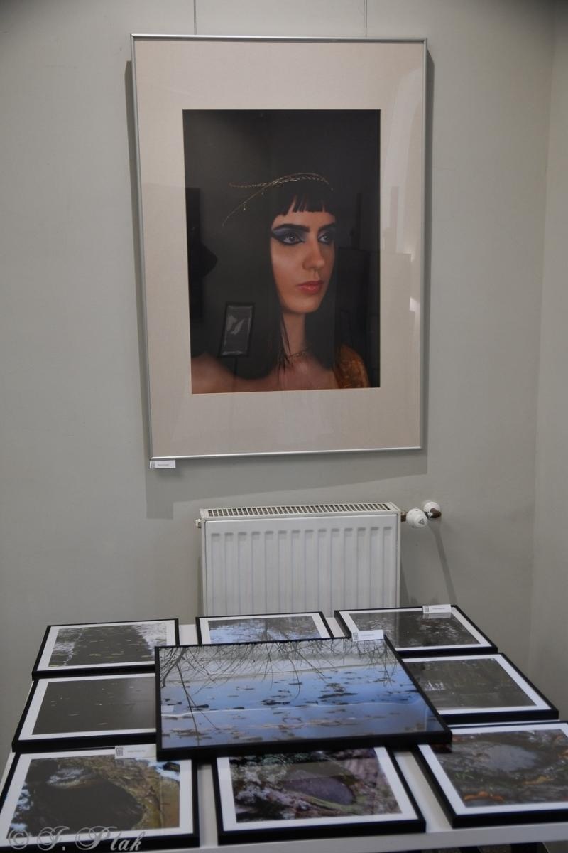 Zdjęcie w galerii na portalu naszraciborz.pl: Dyplomy 2024: fotografia artystyczna. Nowa wystawa w raciborskiej bibliotece wiadomości z regionu