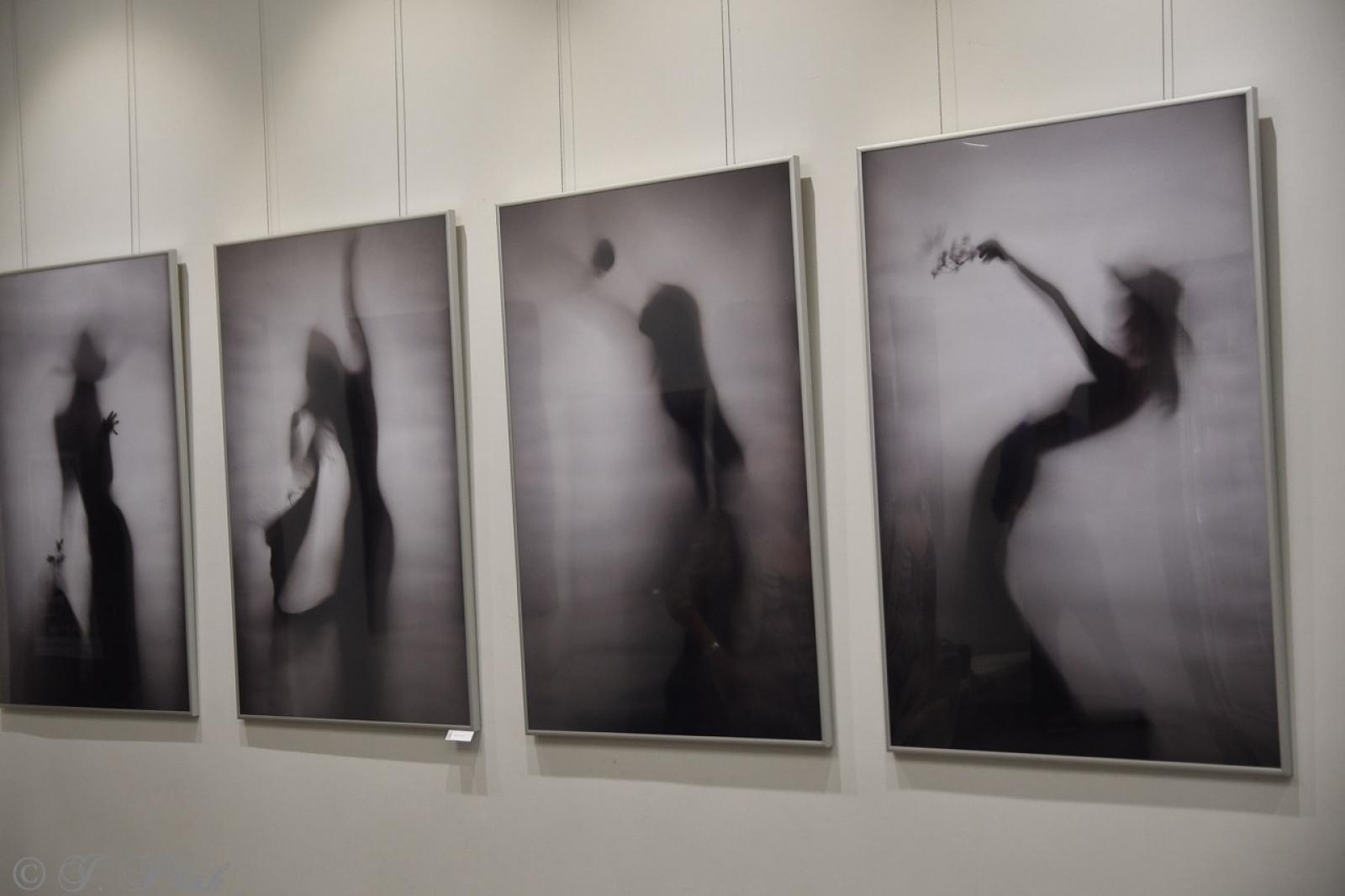 Zdjęcie w galerii na portalu naszraciborz.pl: Dyplomy 2024: fotografia artystyczna. Nowa wystawa w raciborskiej bibliotece wiadomości z regionu