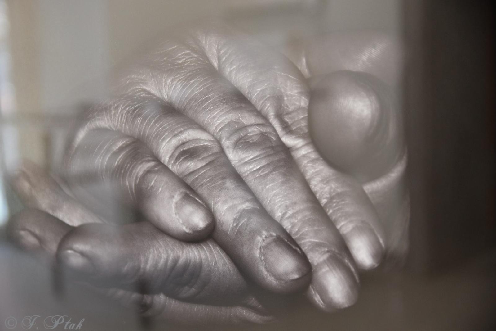 Zdjęcie w galerii na portalu naszraciborz.pl: Dyplomy 2024: fotografia artystyczna. Nowa wystawa w raciborskiej bibliotece wiadomości z regionu