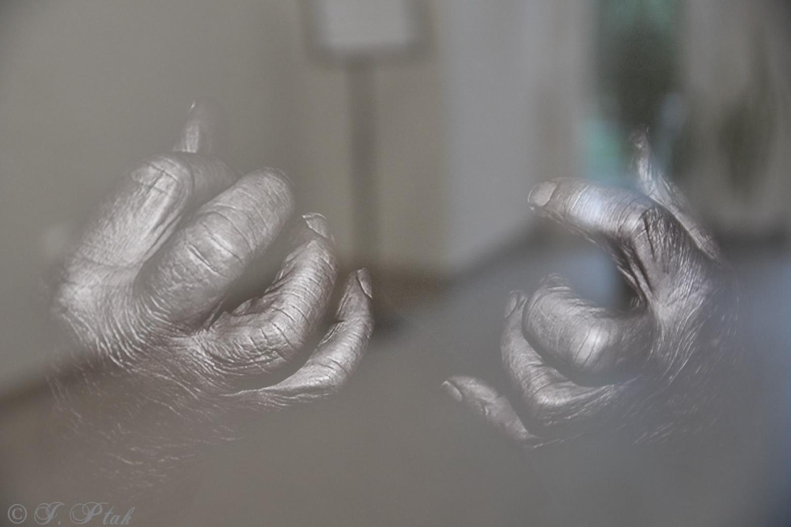 Zdjęcie w galerii na portalu naszraciborz.pl: Dyplomy 2024: fotografia artystyczna. Nowa wystawa w raciborskiej bibliotece wiadomości z regionu