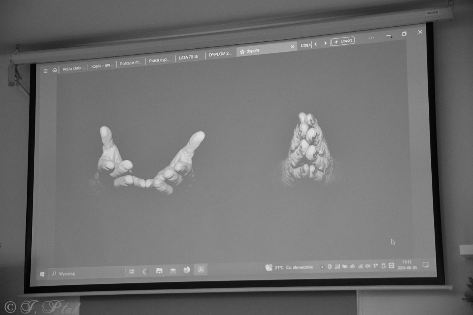 Zdjęcie w galerii na portalu naszraciborz.pl: Dyplomy 2024: fotografia artystyczna. Nowa wystawa w raciborskiej bibliotece wiadomości z regionu