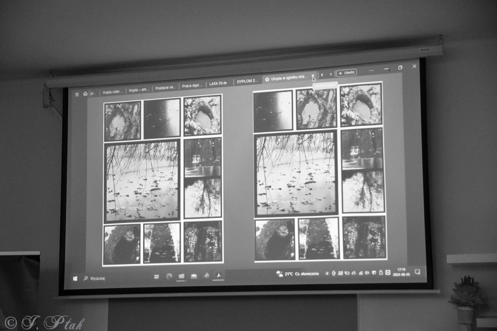 Zdjęcie w galerii na portalu naszraciborz.pl: Dyplomy 2024: fotografia artystyczna. Nowa wystawa w raciborskiej bibliotece wiadomości z regionu