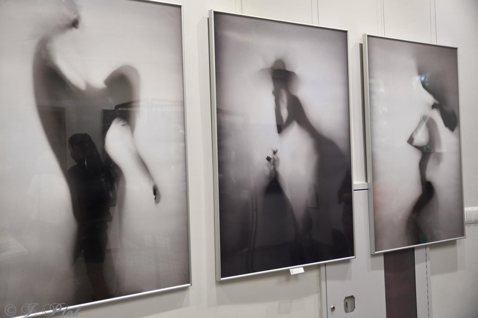 Zdjęcie w galerii na portalu naszraciborz.pl: Dyplomy 2024: fotografia artystyczna. Nowa wystawa w raciborskiej bibliotece wiadomości z regionu