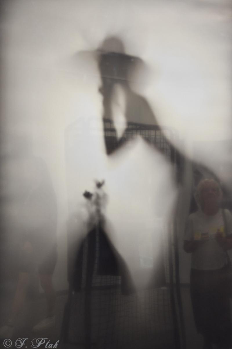 Zdjęcie w galerii na portalu naszraciborz.pl: Dyplomy 2024: fotografia artystyczna. Nowa wystawa w raciborskiej bibliotece wiadomości z regionu