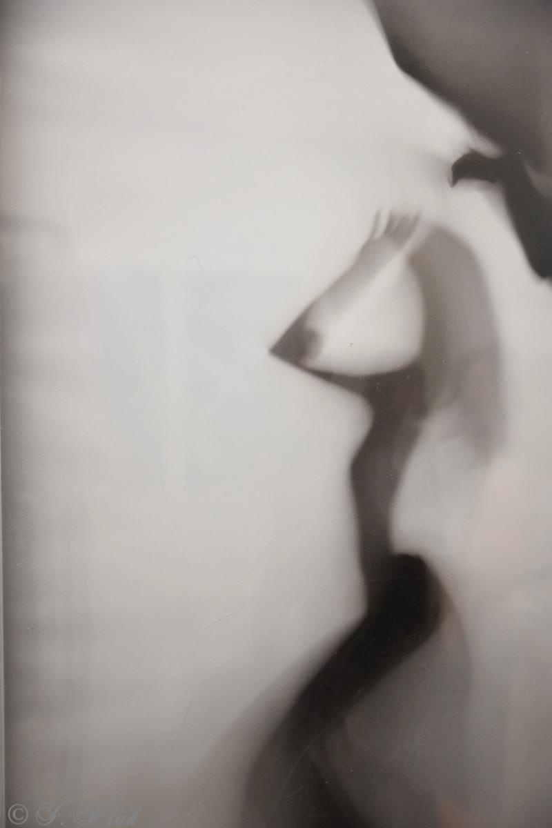 Zdjęcie w galerii na portalu naszraciborz.pl: Dyplomy 2024: fotografia artystyczna. Nowa wystawa w raciborskiej bibliotece wiadomości z regionu