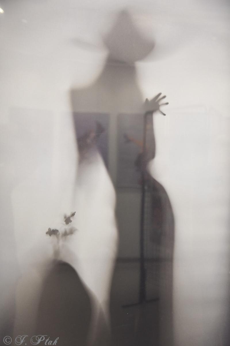 Zdjęcie w galerii na portalu naszraciborz.pl: Dyplomy 2024: fotografia artystyczna. Nowa wystawa w raciborskiej bibliotece wiadomości z regionu