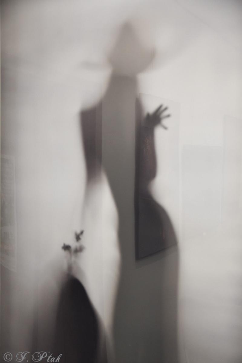 Zdjęcie w galerii na portalu naszraciborz.pl: Dyplomy 2024: fotografia artystyczna. Nowa wystawa w raciborskiej bibliotece wiadomości z regionu