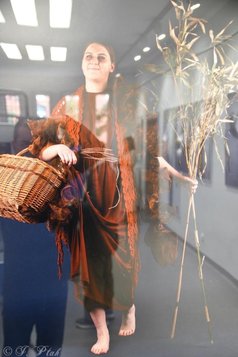 Zdjęcie w galerii na portalu naszraciborz.pl: Dyplomy 2024: fotografia artystyczna. Nowa wystawa w raciborskiej bibliotece wiadomości z regionu